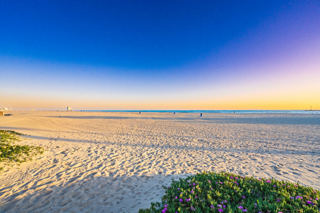 Silver Strand Sensation