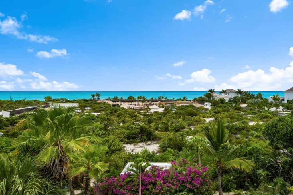 Pelican's Nest #2 and #3