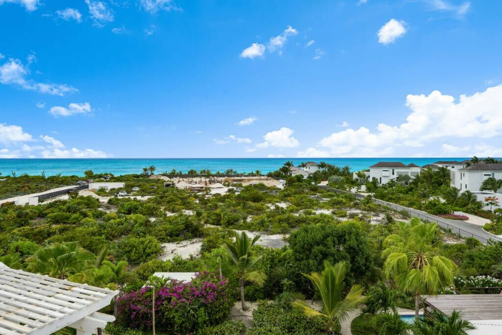 Pelican's Nest #2 and #3