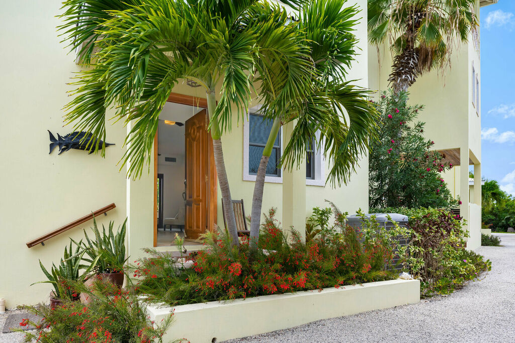 Pelican's Nest #2 and #3