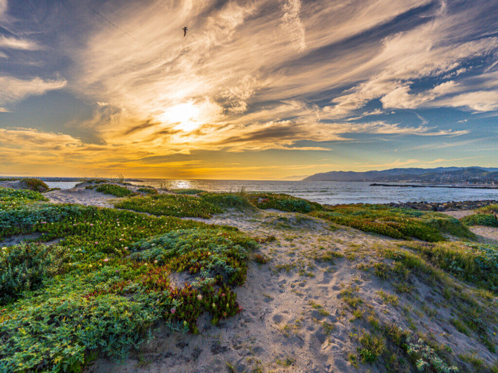 Coastal Charm