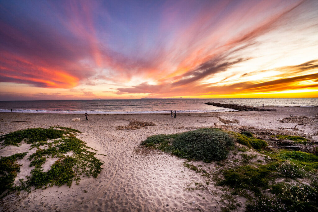 Coastal Charm